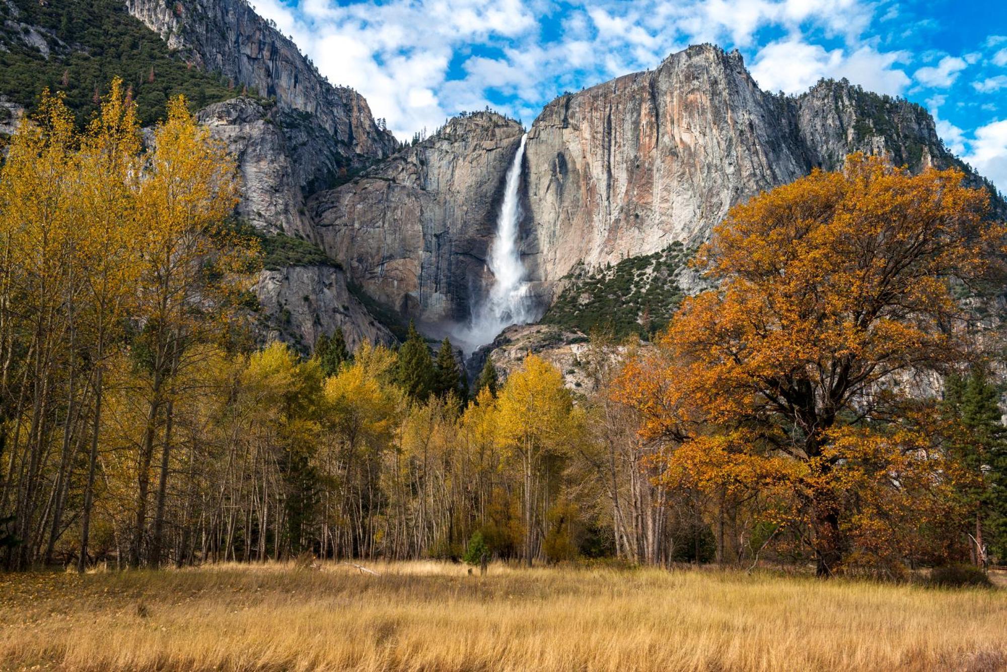 High End A-Frame - Hot Tub - Awesome Views - Yosemite - Electric Vehicle Friendly - Sleeps 10 Villa Oakhurst Buitenkant foto